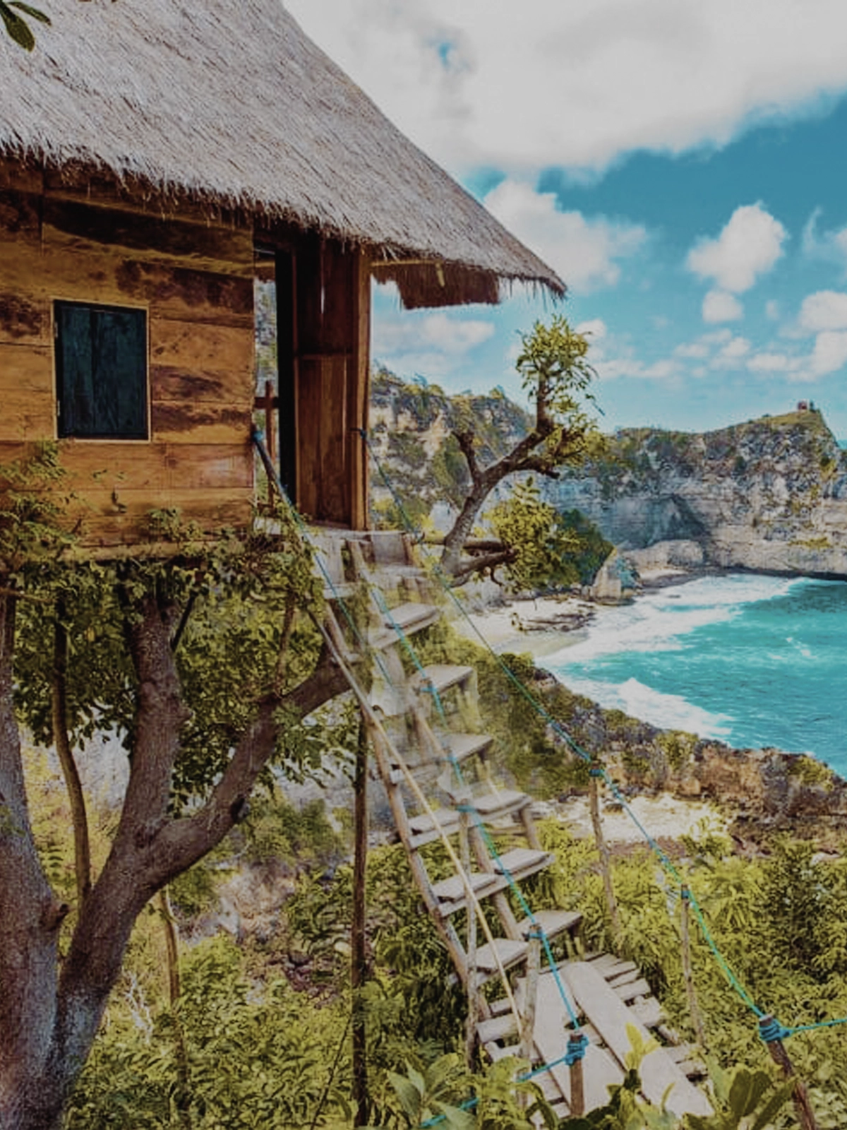 tree house east nusa penida tour